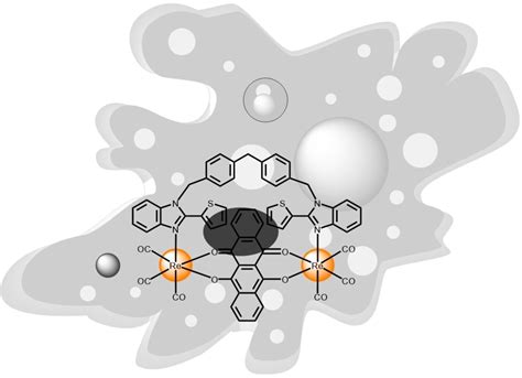 rhenium - stab|Exploring rhenium (I) complexes as potential  .